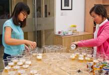 베트남 맥주 블라인드 테스트 – 10대 베트남 맥주