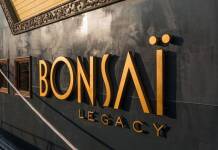 본사이 디너 크루즈-호치민시티투어