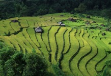 제13호 태풍 ‘갈매기’, 베트남 강타… 최소 5명 사망, 수천 채 피해