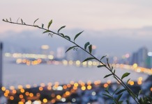 나트랑, 태풍 ‘도라지’로 막대한 피해…13명 사망·4명 실종